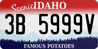 ID license plate 3B5999V