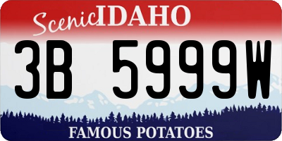 ID license plate 3B5999W