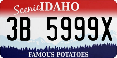 ID license plate 3B5999X