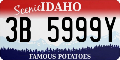 ID license plate 3B5999Y