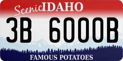 ID license plate 3B6000B