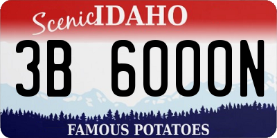 ID license plate 3B6000N