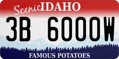 ID license plate 3B6000W