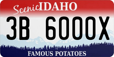 ID license plate 3B6000X