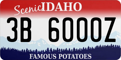 ID license plate 3B6000Z