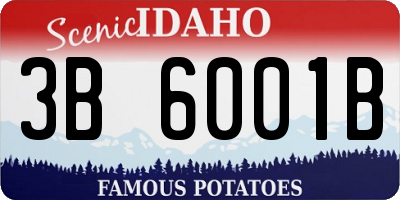 ID license plate 3B6001B