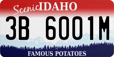 ID license plate 3B6001M