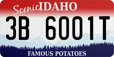 ID license plate 3B6001T