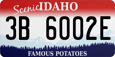 ID license plate 3B6002E