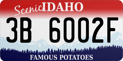 ID license plate 3B6002F