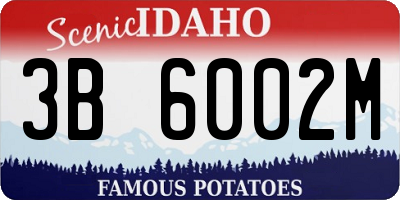 ID license plate 3B6002M