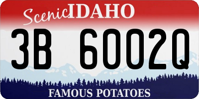 ID license plate 3B6002Q