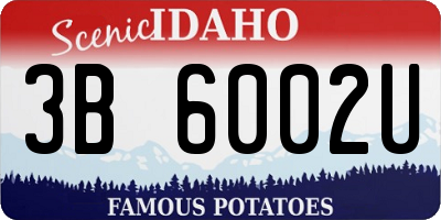ID license plate 3B6002U