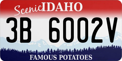 ID license plate 3B6002V