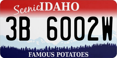 ID license plate 3B6002W