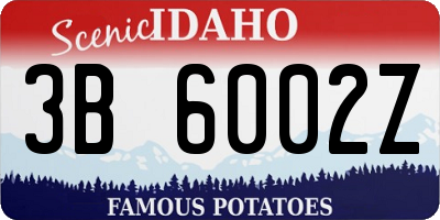 ID license plate 3B6002Z