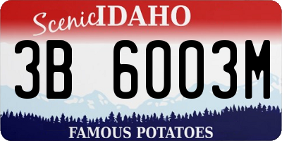 ID license plate 3B6003M