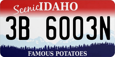 ID license plate 3B6003N