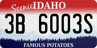 ID license plate 3B6003S