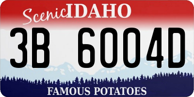 ID license plate 3B6004D