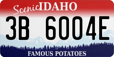ID license plate 3B6004E