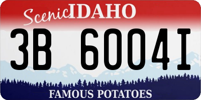 ID license plate 3B6004I