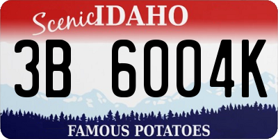 ID license plate 3B6004K