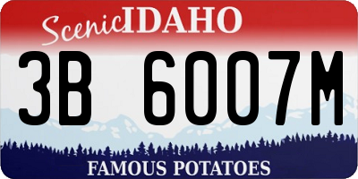 ID license plate 3B6007M