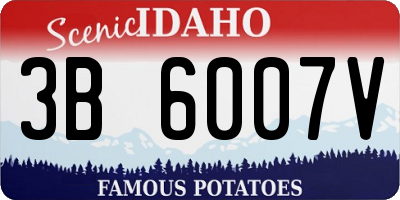 ID license plate 3B6007V