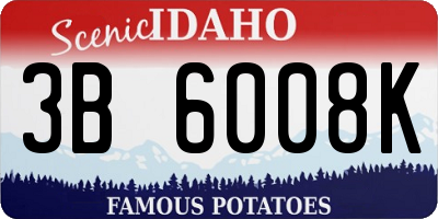 ID license plate 3B6008K