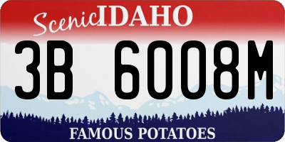 ID license plate 3B6008M