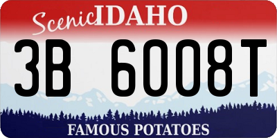 ID license plate 3B6008T