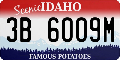 ID license plate 3B6009M
