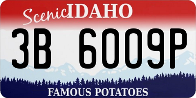 ID license plate 3B6009P