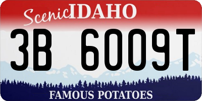 ID license plate 3B6009T