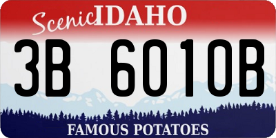 ID license plate 3B6010B