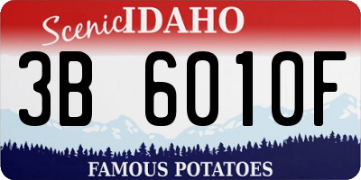 ID license plate 3B6010F