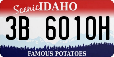 ID license plate 3B6010H