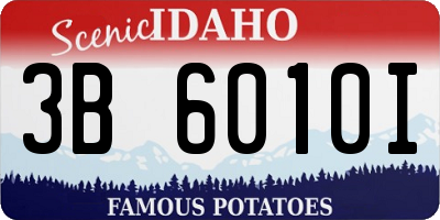 ID license plate 3B6010I
