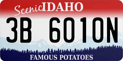 ID license plate 3B6010N