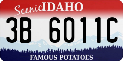 ID license plate 3B6011C