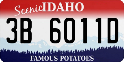 ID license plate 3B6011D