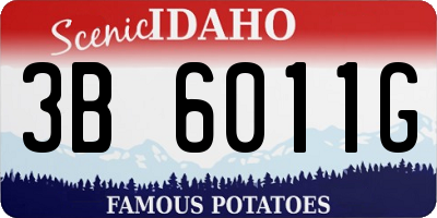 ID license plate 3B6011G
