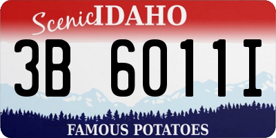 ID license plate 3B6011I