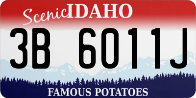 ID license plate 3B6011J