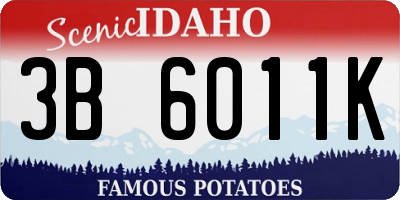 ID license plate 3B6011K