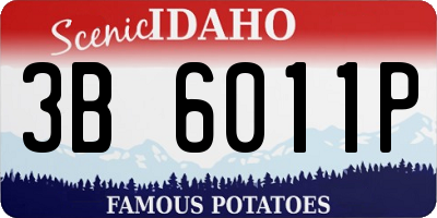 ID license plate 3B6011P