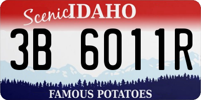 ID license plate 3B6011R