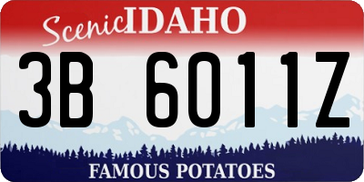 ID license plate 3B6011Z
