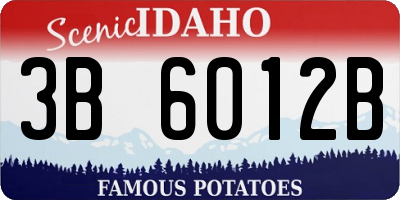 ID license plate 3B6012B